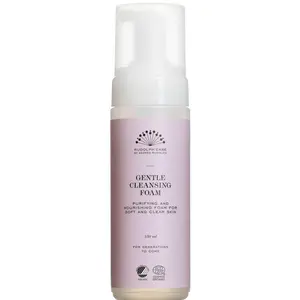 Rudolph Gentle Cleansing Foam