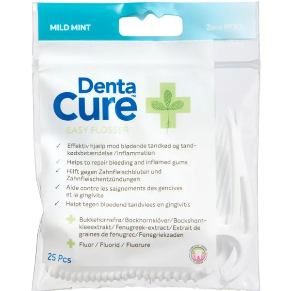 DentaCure Easy Flosser